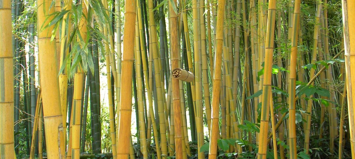 Modelage énergétique indien